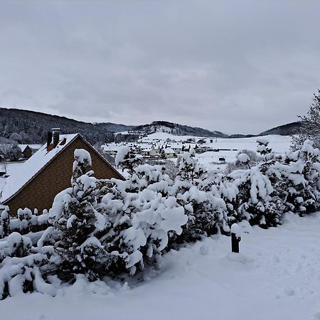 Sauerland-Tinyworld - Ihr Tiny Ferienhaus Im Sauerland Am Diemelsee Eksteriør bilde