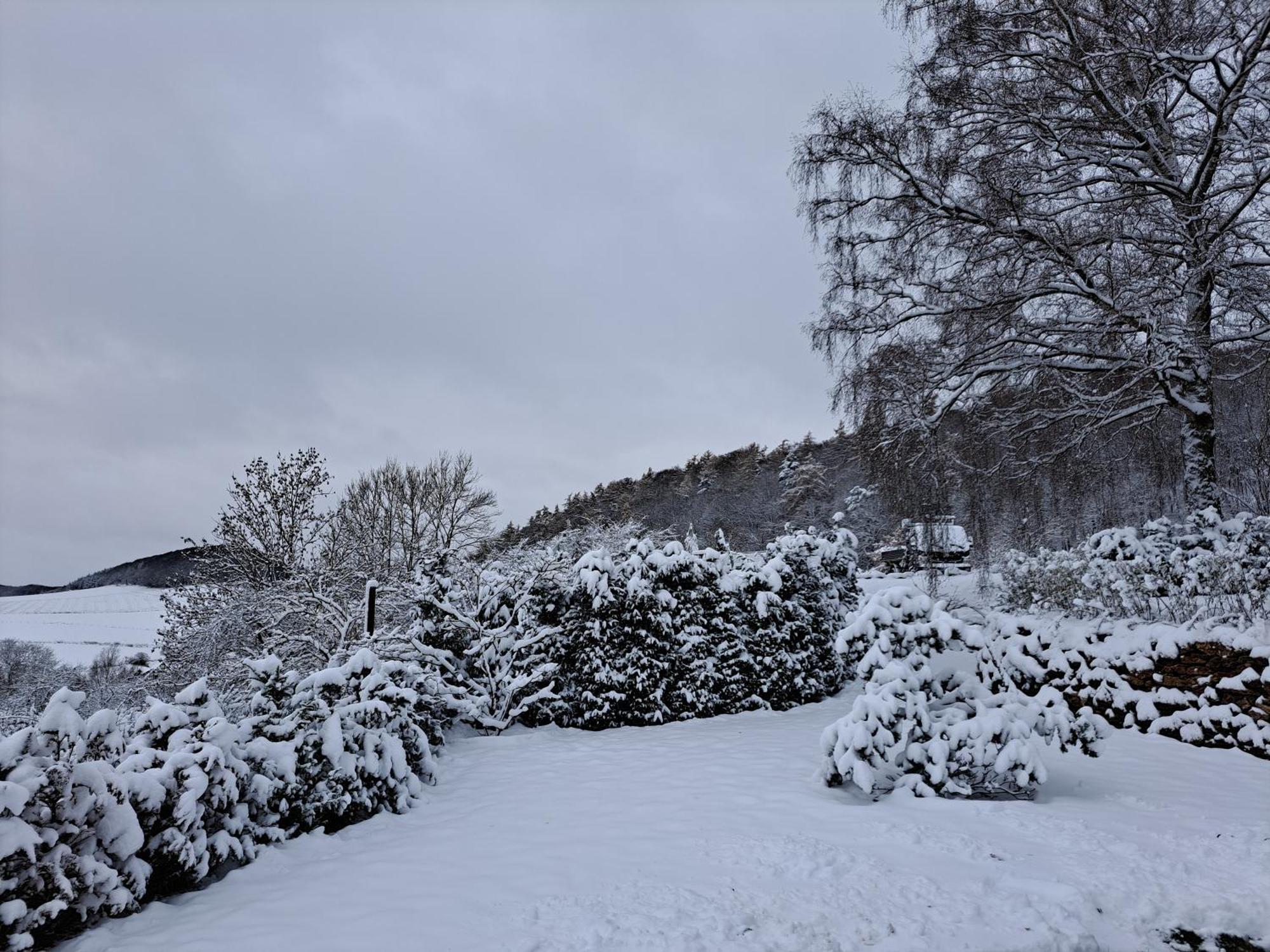 Sauerland-Tinyworld - Ihr Tiny Ferienhaus Im Sauerland Am Diemelsee Eksteriør bilde