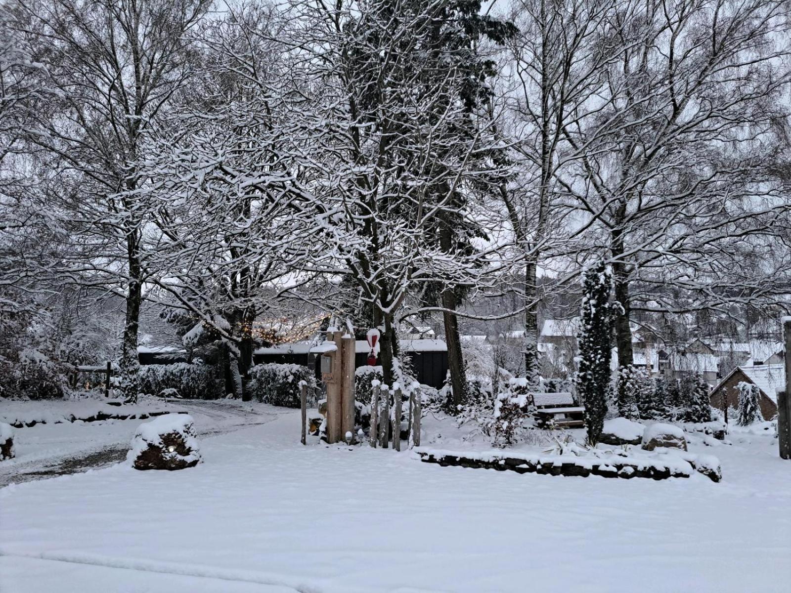 Sauerland-Tinyworld - Ihr Tiny Ferienhaus Im Sauerland Am Diemelsee Eksteriør bilde