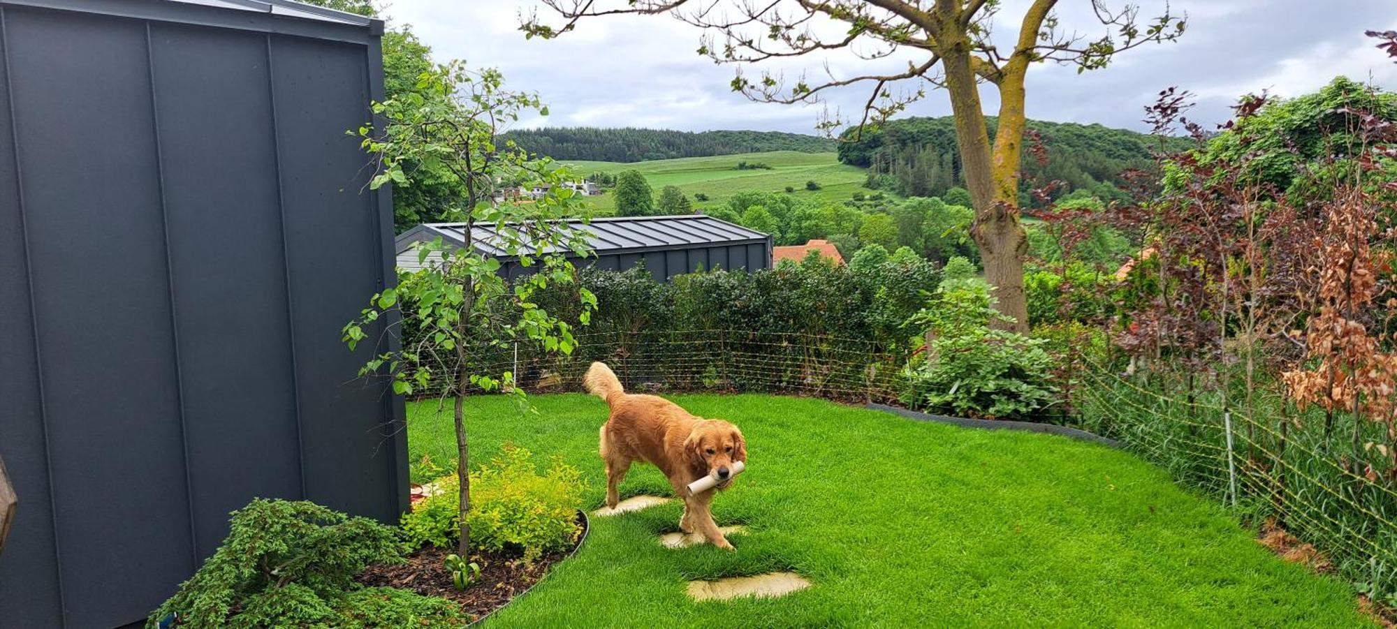 Sauerland-Tinyworld - Ihr Tiny Ferienhaus Im Sauerland Am Diemelsee Eksteriør bilde