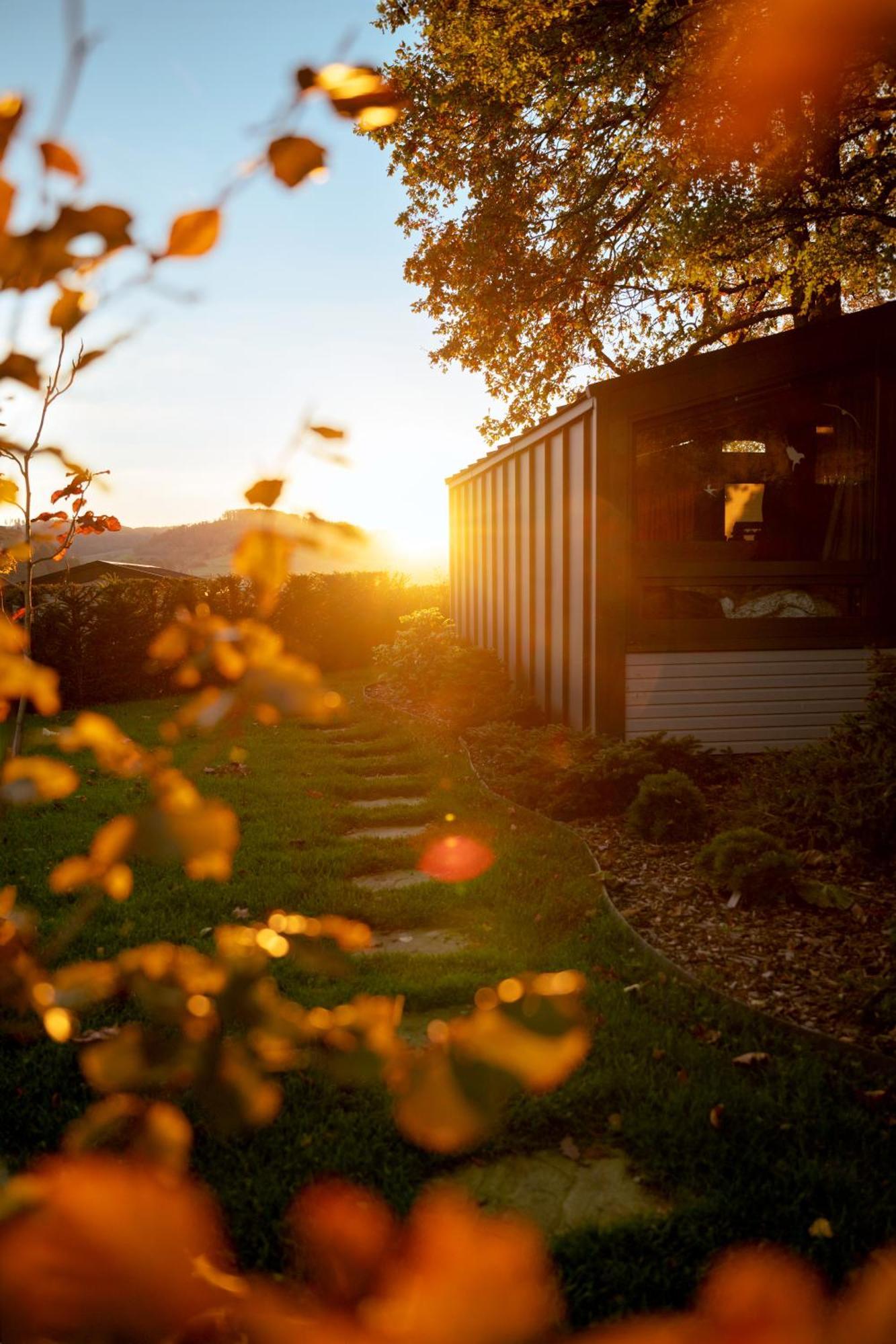 Sauerland-Tinyworld - Ihr Tiny Ferienhaus Im Sauerland Am Diemelsee Eksteriør bilde