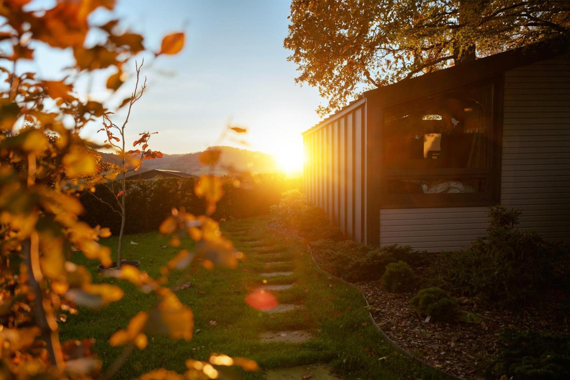 Sauerland-Tinyworld - Ihr Tiny Ferienhaus Im Sauerland Am Diemelsee Eksteriør bilde