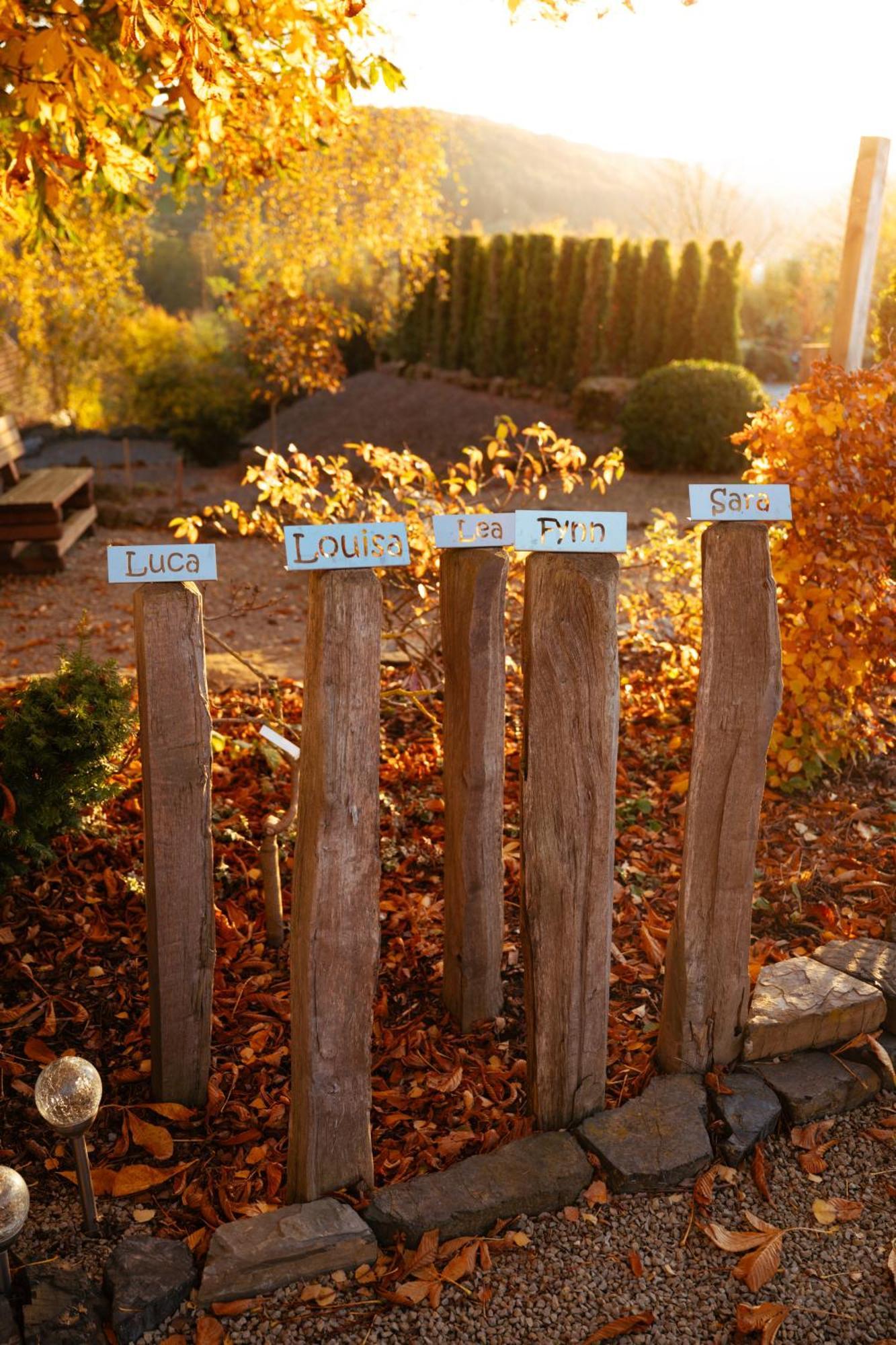 Sauerland-Tinyworld - Ihr Tiny Ferienhaus Im Sauerland Am Diemelsee Eksteriør bilde