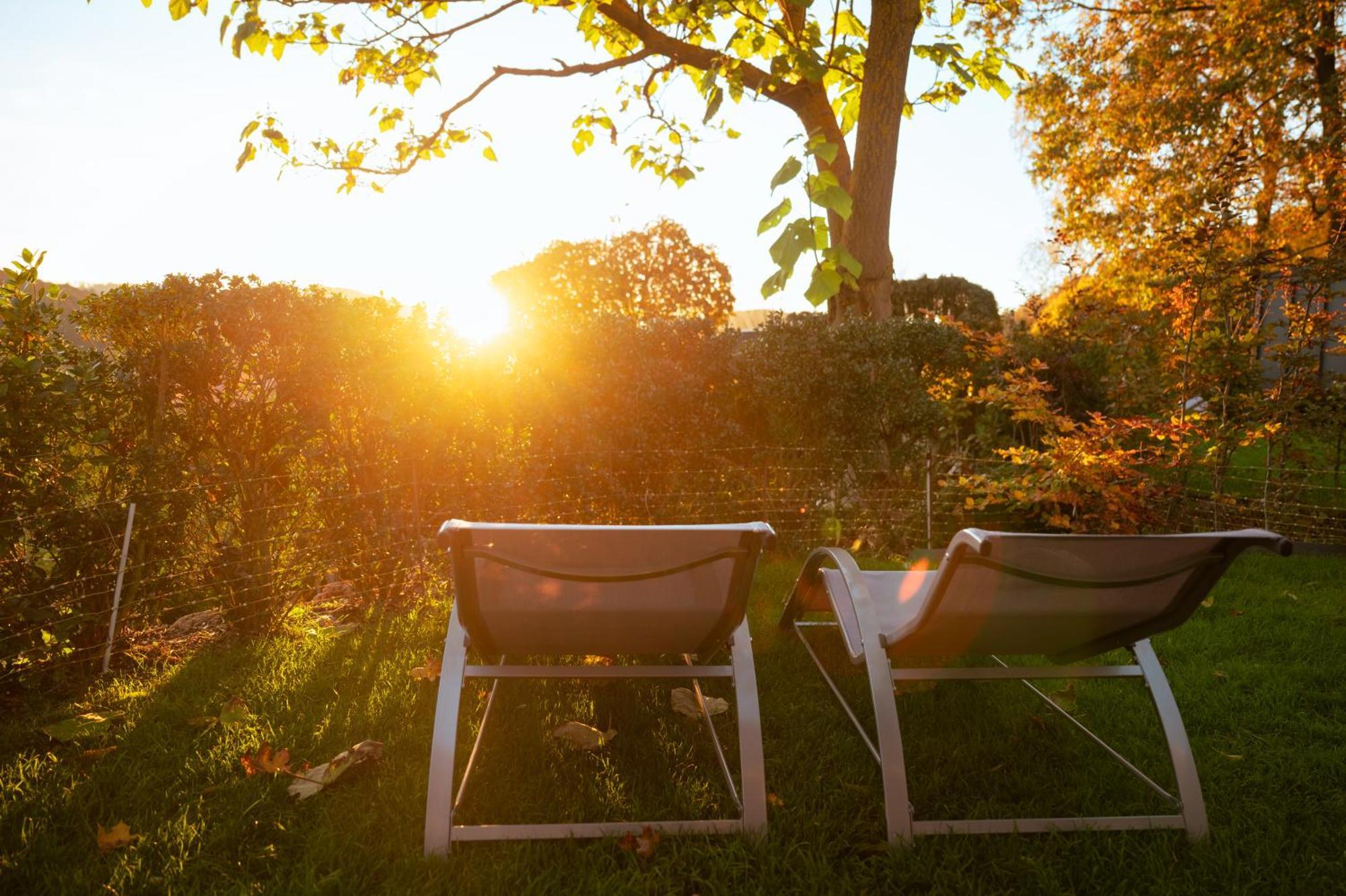 Sauerland-Tinyworld - Ihr Tiny Ferienhaus Im Sauerland Am Diemelsee Eksteriør bilde