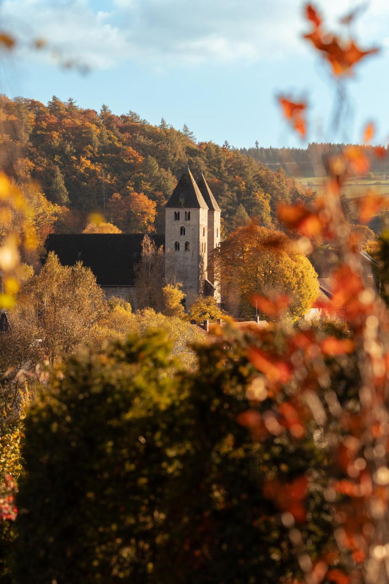 Sauerland-Tinyworld - Ihr Tiny Ferienhaus Im Sauerland Am Diemelsee Eksteriør bilde