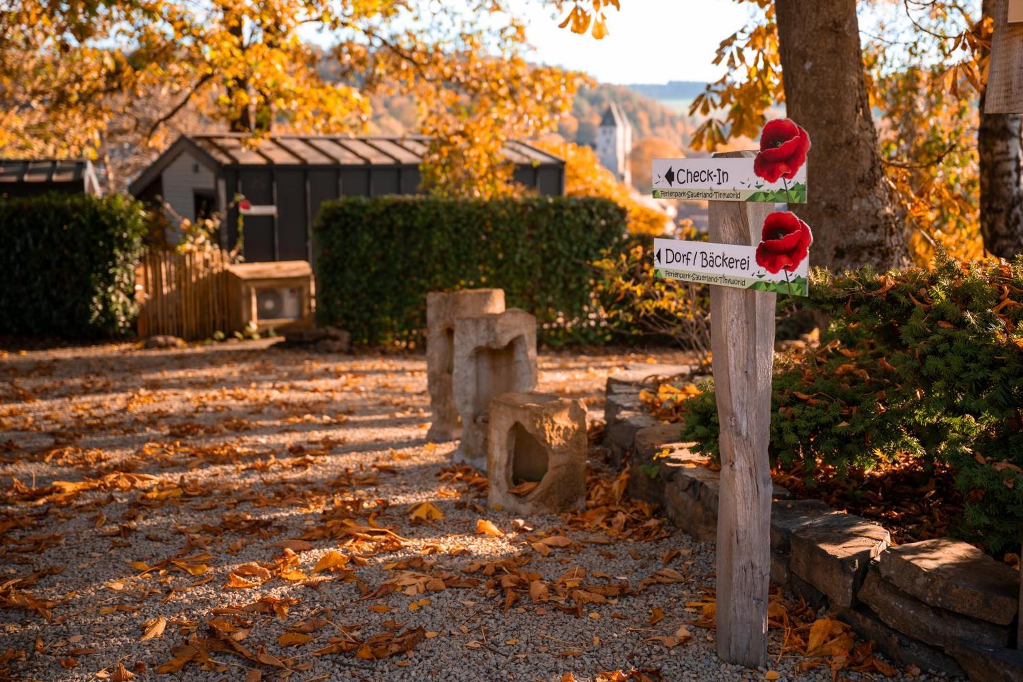 Sauerland-Tinyworld - Ihr Tiny Ferienhaus Im Sauerland Am Diemelsee Eksteriør bilde