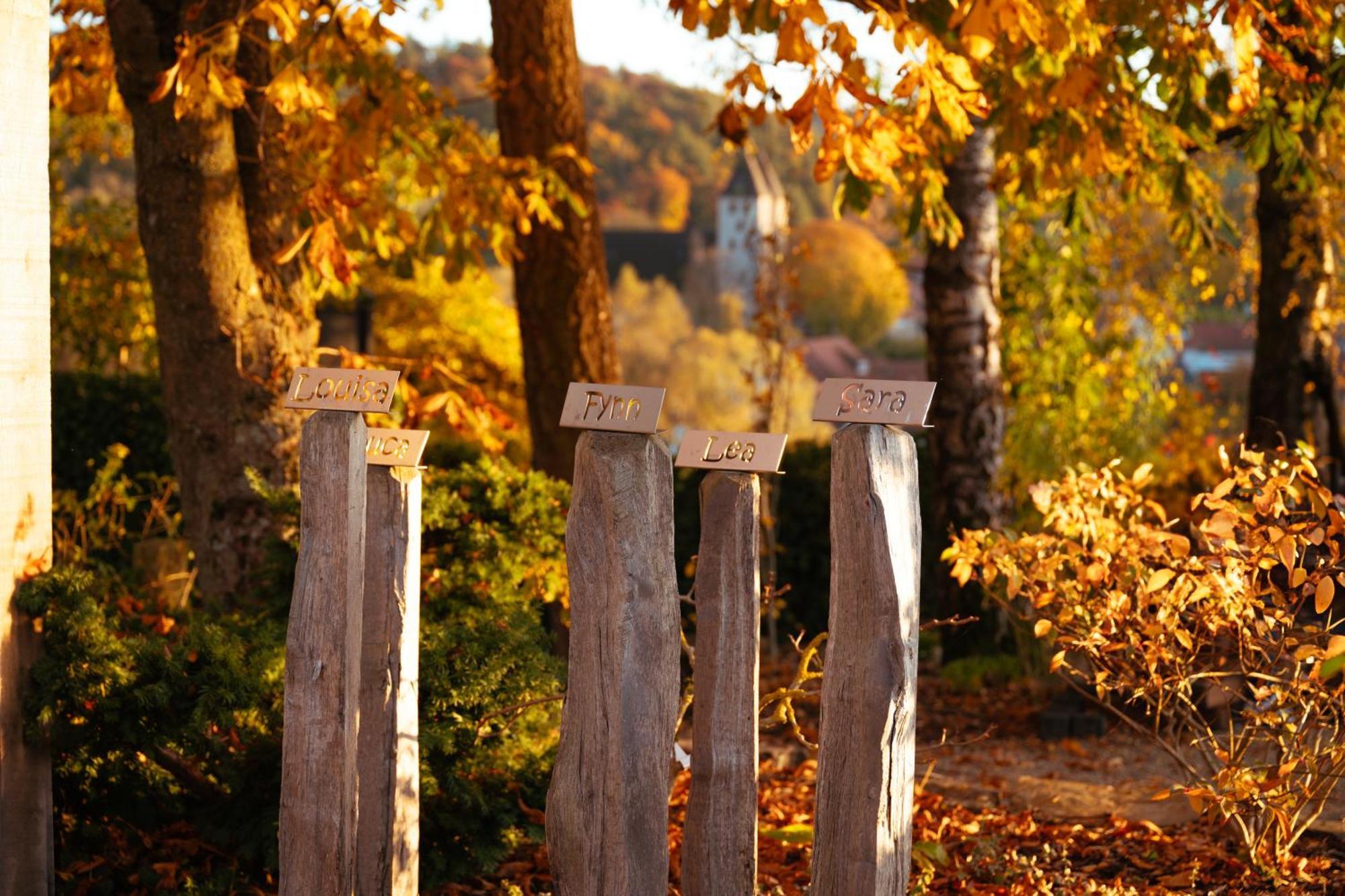 Sauerland-Tinyworld - Ihr Tiny Ferienhaus Im Sauerland Am Diemelsee Eksteriør bilde
