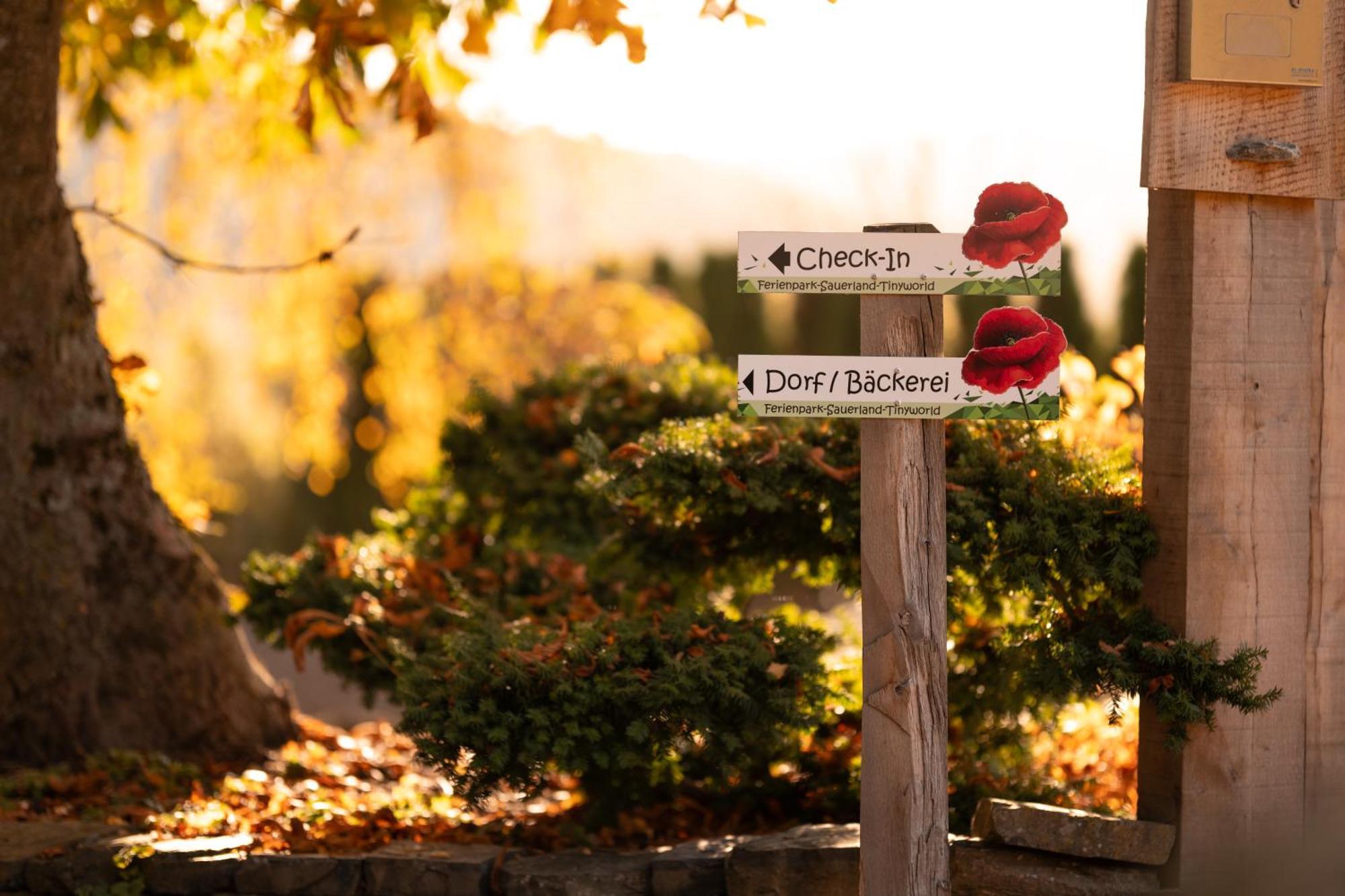 Sauerland-Tinyworld - Ihr Tiny Ferienhaus Im Sauerland Am Diemelsee Eksteriør bilde
