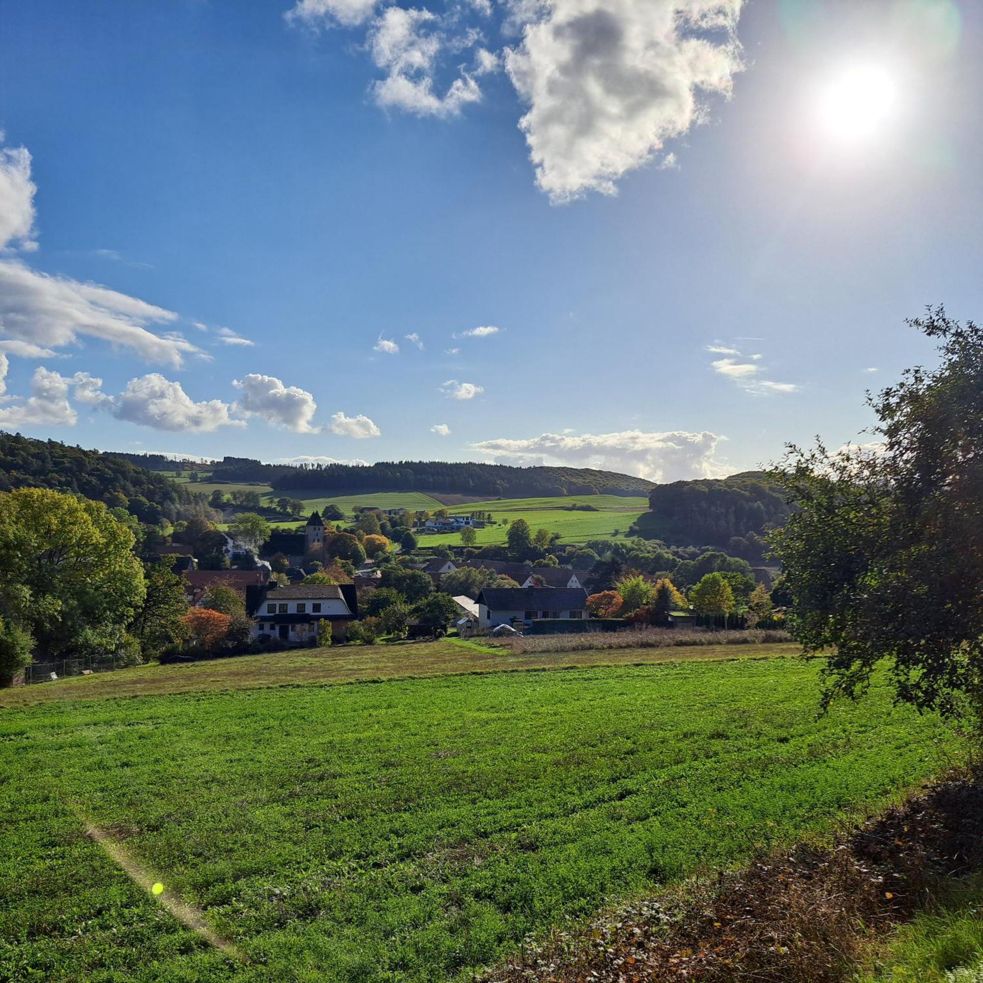 Sauerland-Tinyworld - Ihr Tiny Ferienhaus Im Sauerland Am Diemelsee Eksteriør bilde