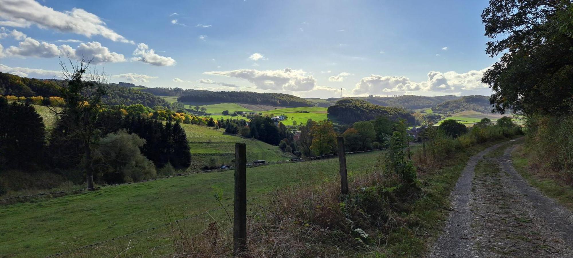 Sauerland-Tinyworld - Ihr Tiny Ferienhaus Im Sauerland Am Diemelsee Eksteriør bilde