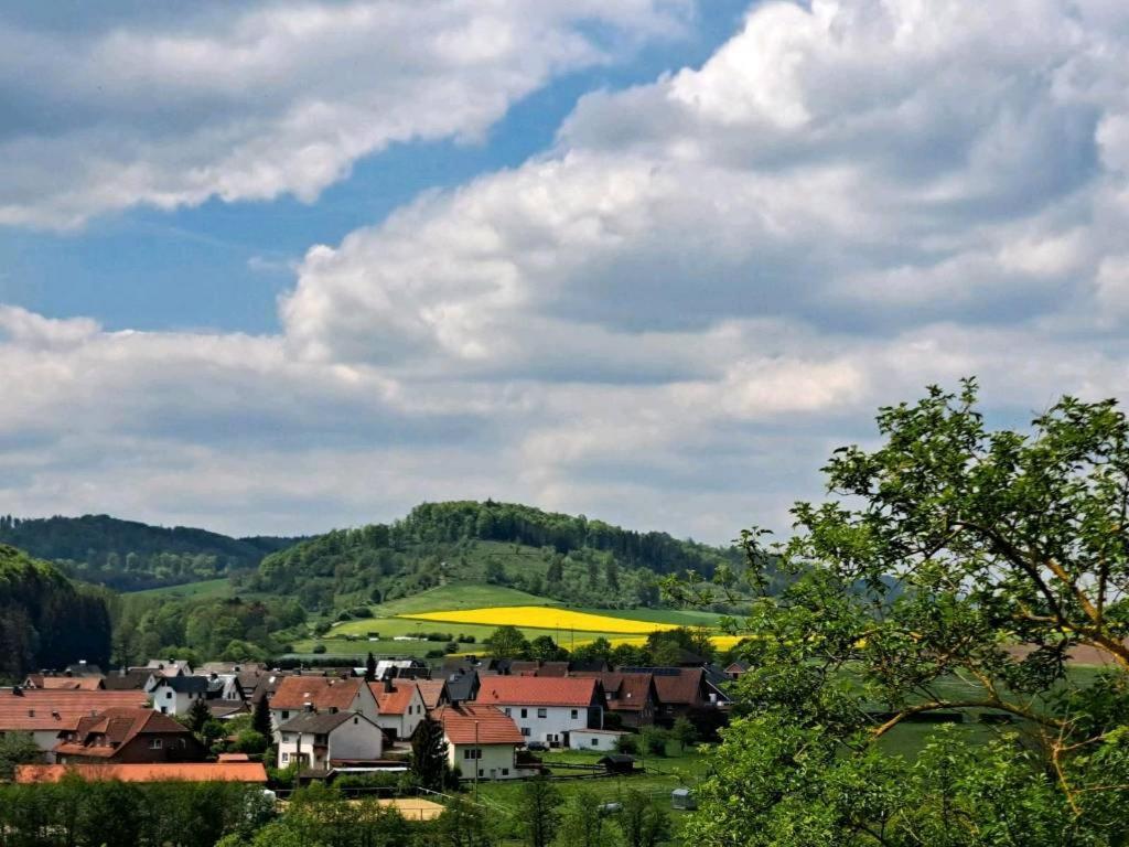 Sauerland-Tinyworld - Ihr Tiny Ferienhaus Im Sauerland Am Diemelsee Eksteriør bilde